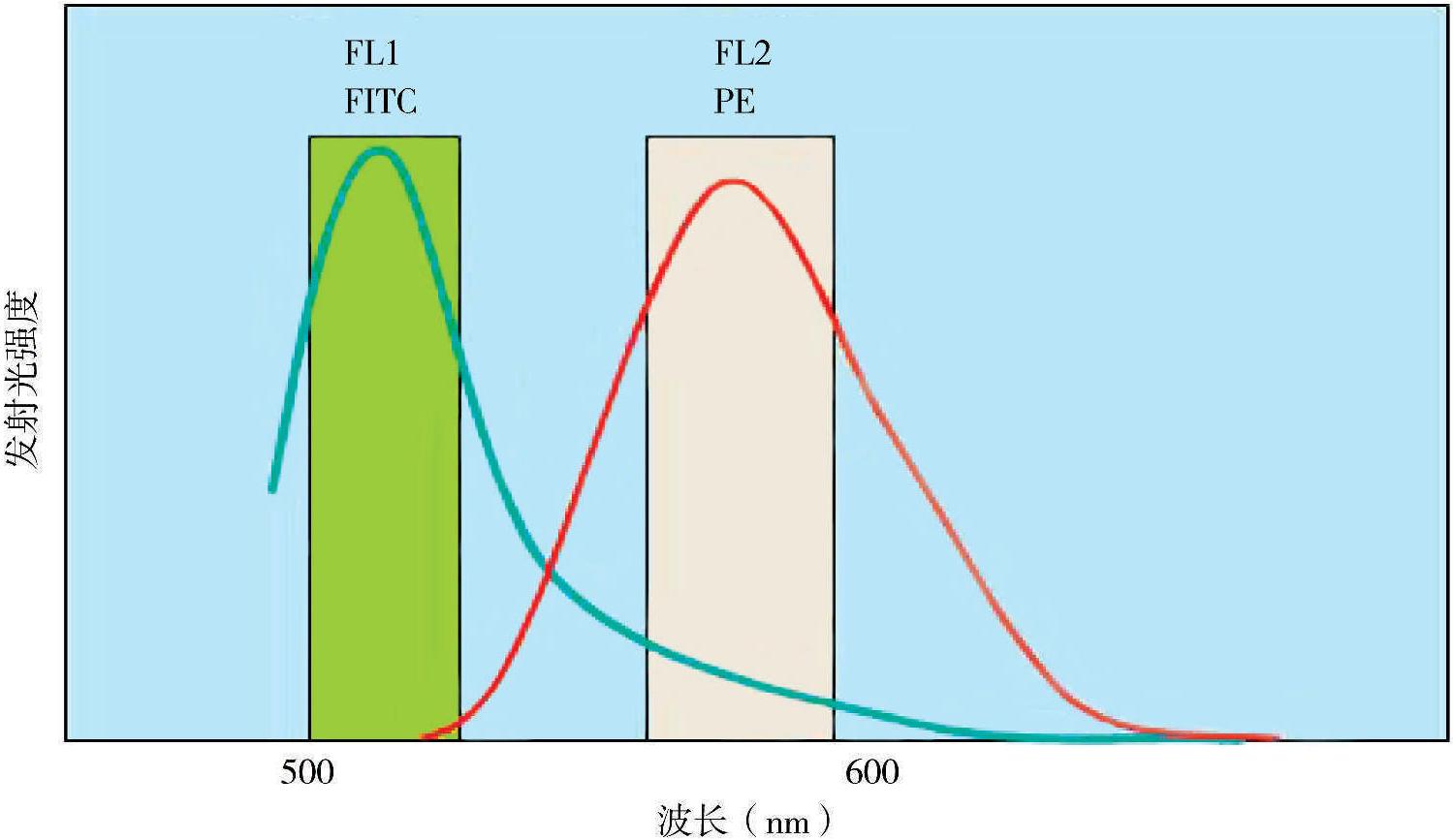 五、光谱重叠与荧光补偿